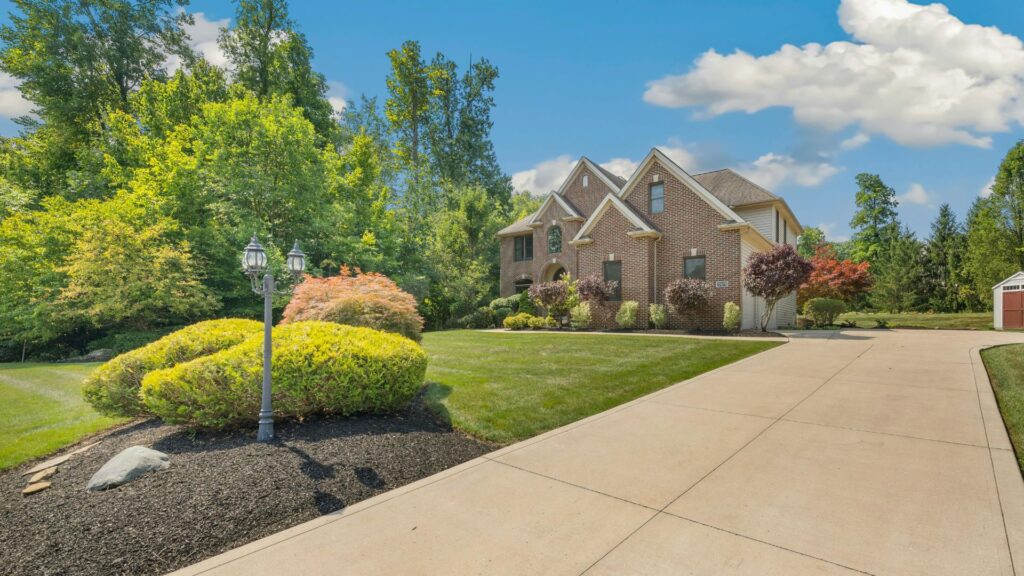 best trees for driveways nz (2)