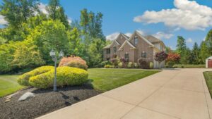 best trees for driveways nz (2)